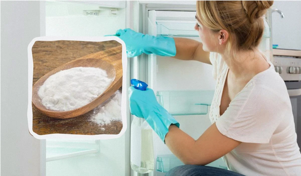 Buzdolabı kokularına karşı en iyi çözüm Suya sadece 1 kaşık ekleyin